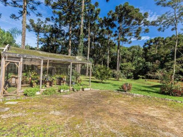 Sitio venda em Campo Magro, Jardim Cecília