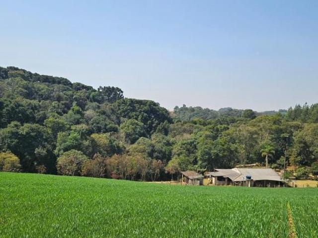 Sitio venda em Araucaria