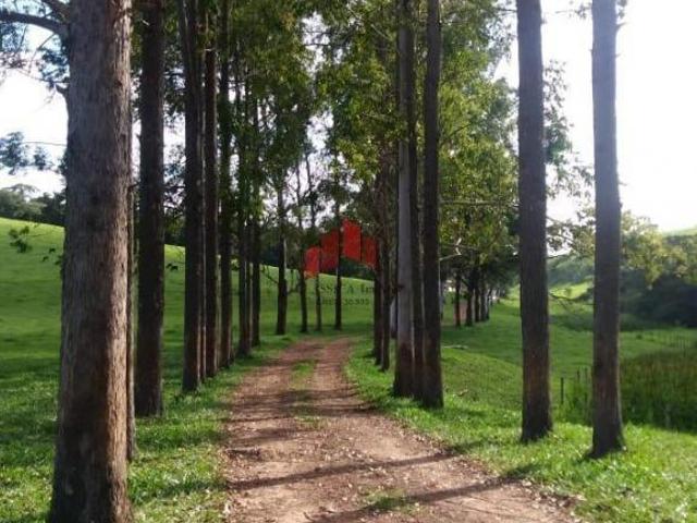 Sítio e chácara venda em Região Geográfica Imediata de Sete Lagoas, Região Metropolitana de Belo Horizonte