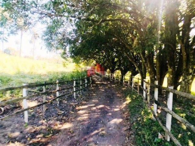 Sítio e chácara venda em Região Geográfica Imediata de Belo Horizonte, Região Metropolitana de Belo Horizonte
