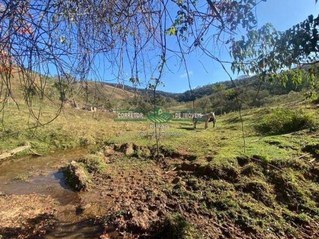 Sítio e chácara venda em Região Geográfica Imediata de São Lourenço, Carmo de Minas