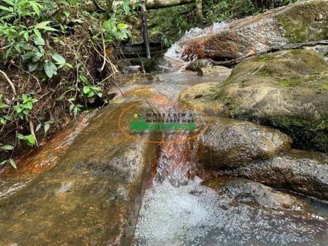 Sítio e chácara venda em Carmópolis de Minas, Região Geográfica Intermediária de Divinópolis