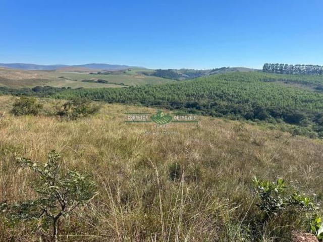 Sítio e chácara venda em Região Geográfica Imediata de Lavras, Carrancas