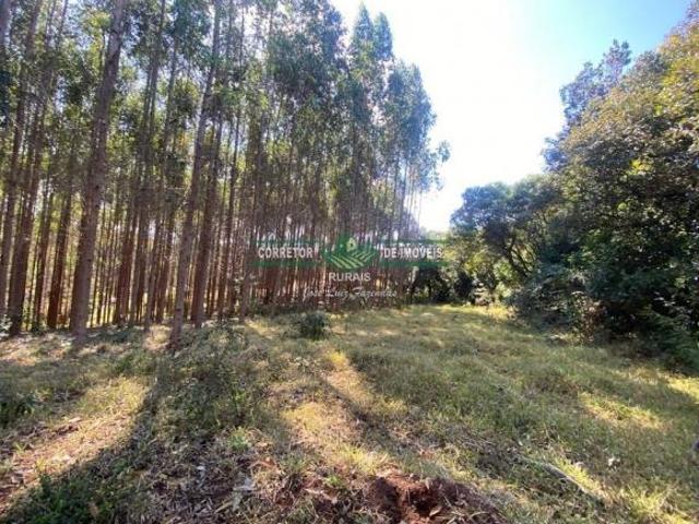 Sítio e chácara venda em Região Geográfica Imediata de Caxambu - Baependi, Carvalhos