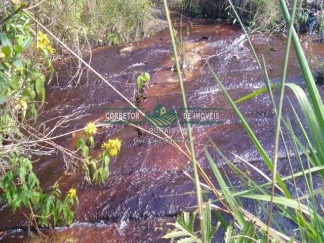 Sítio e chácara venda em Região Geográfica Imediata de Caxambu - Baependi, Carvalhos