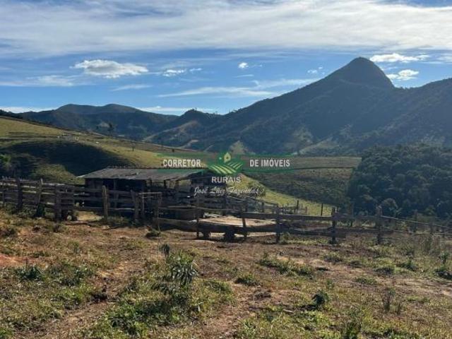 Sítio e chácara venda em Região Geográfica Imediata de Caxambu - Baependi, Carvalhos
