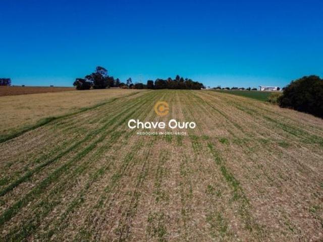 Sítio e chácara venda em Região Geográfica Imediata de Cascavel, Cascavel