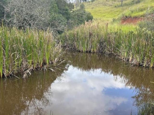 Sítio e chácara venda em Região Geográfica Imediata de Caxambu - Baependi, Caxambu