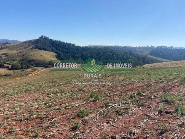 Sítio e chácara venda em Região Geográfica Imediata de Caxambu - Baependi, Caxambu