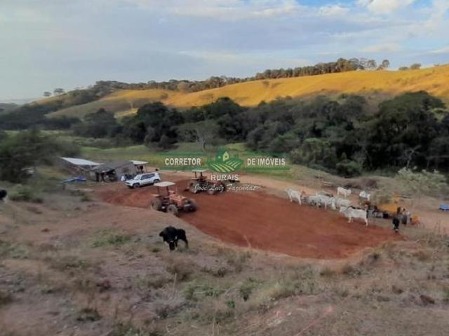 Sítio e chácara venda em Região Geográfica Imediata de Caxambu - Baependi, Caxambu