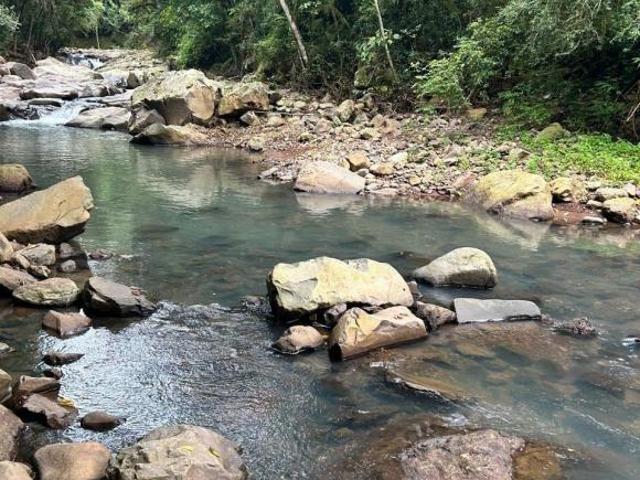 Sítio e chácara venda em Região Geográfica Imediata de Caxias do Sul, Caxias do Sul