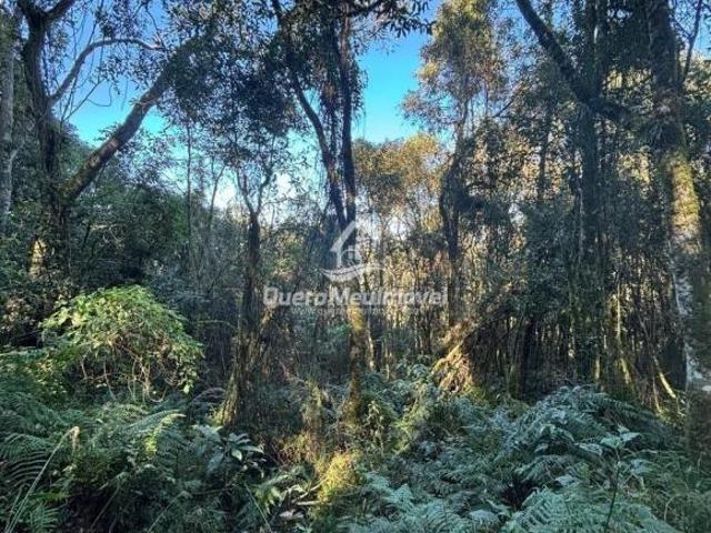 Sítio e chácara venda em Região Geográfica Imediata de Caxias do Sul, Caxias do Sul