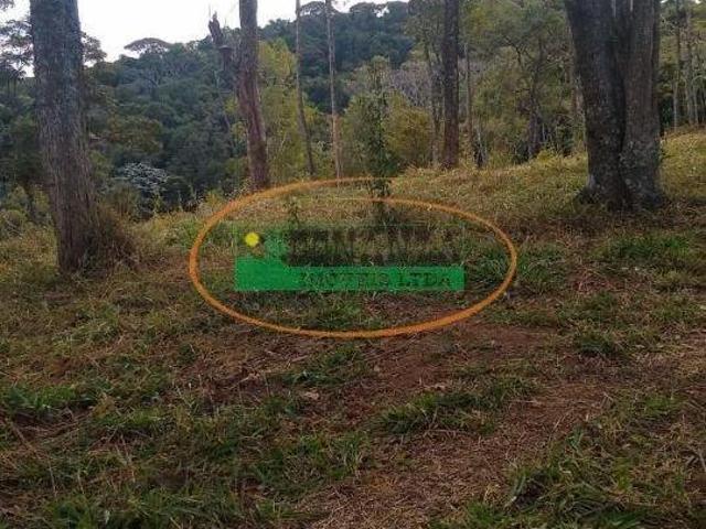 Sítio e chácara venda em Conselheiro Lafaiete, Região Geográfica Intermediária de Juiz de Fora