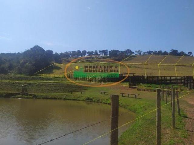 Sítio e chácara venda em Conselheiro Lafaiete, Região Geográfica Intermediária de Juiz de Fora