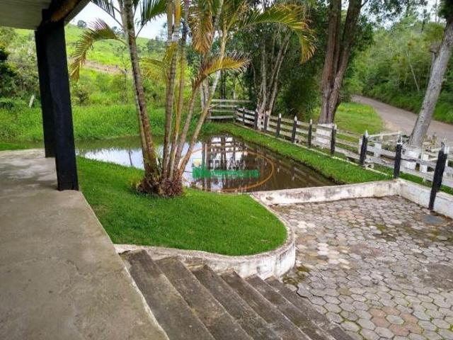 Sítio e chácara venda em Buarque de Macedo, Conselheiro Lafaiete