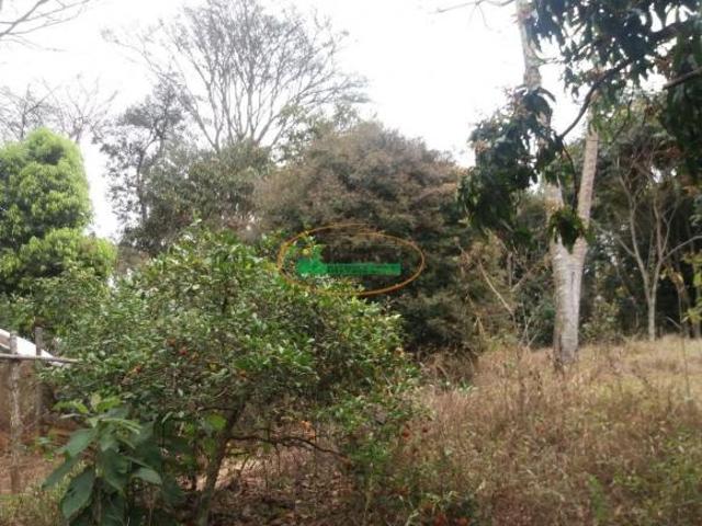 Sítio e chácara venda em Conselheiro Lafaiete, Região Geográfica Intermediária de Juiz de Fora