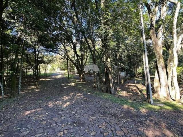 Sitio venda em Pato Branco