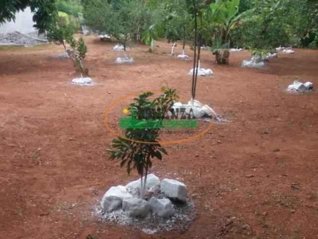 Sítio e chácara venda em Coronel Xavier Chaves, Região Geográfica Intermediária de Juiz de Fora
