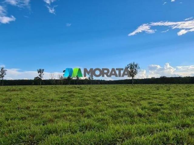 Sítio e chácara venda em Região Geográfica Imediata de Montes Claros, Engenheiro Navarro