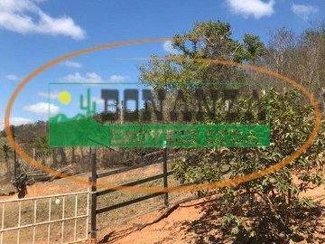 Sítio e chácara venda em Região Geográfica Imediata de Governador Valadares, Governador Valadares