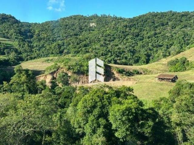 Sítio e chácara venda em Região Geográfica Imediata de Santa Maria, São João do Polesine