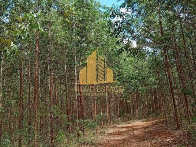 Sítio e chácara venda em Região Geográfica Imediata de Montes Claros, Grão Mogol