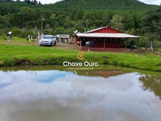 Sítio e chácara venda em Região Geográfica Imediata de Cascavel, Guaraniaçu