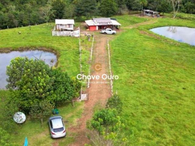 Sítio e chácara venda em Região Geográfica Imediata de Cascavel, Guaraniaçu