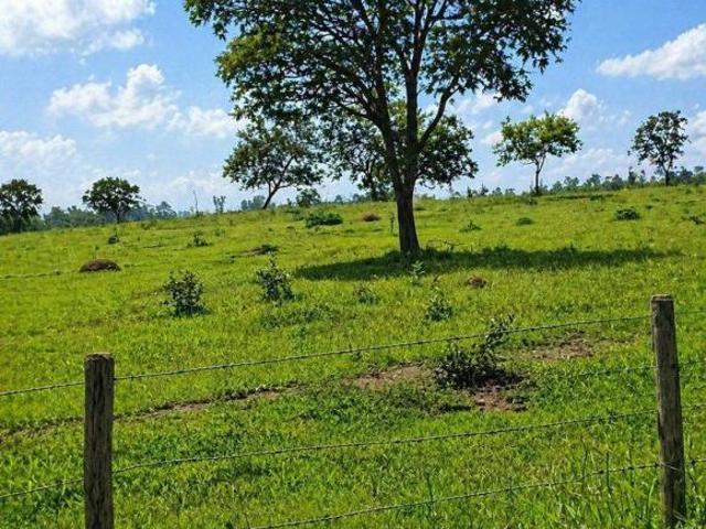 Sítio e chácara venda em Região Imediata de Sorocaba, Região Metropolitana de Sorocaba