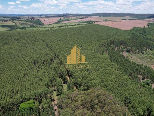 Sítio e chácara venda em Região Geográfica Imediata de Araxá, Ibiá