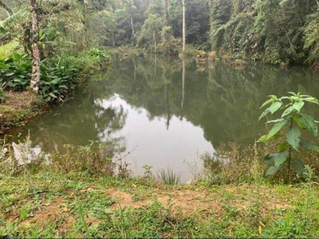 Sítio e chácara venda em Região Imediata de Sorocaba, Região Metropolitana de Sorocaba