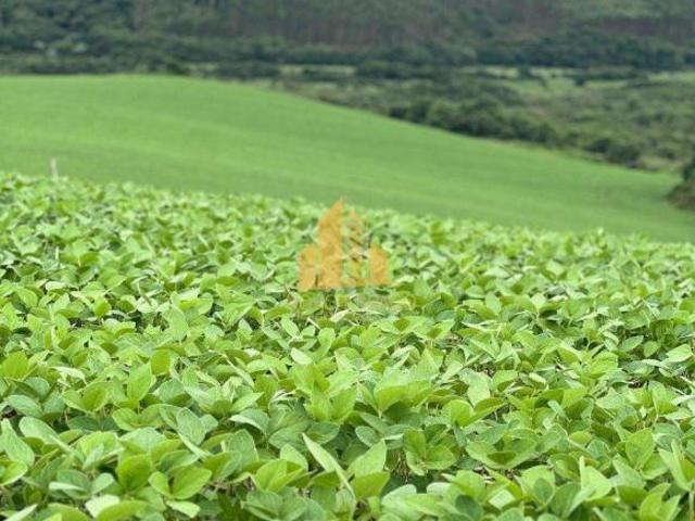 Sítio e chácara venda em Ipuiúna, Região Geográfica Intermediária de Pouso Alegre