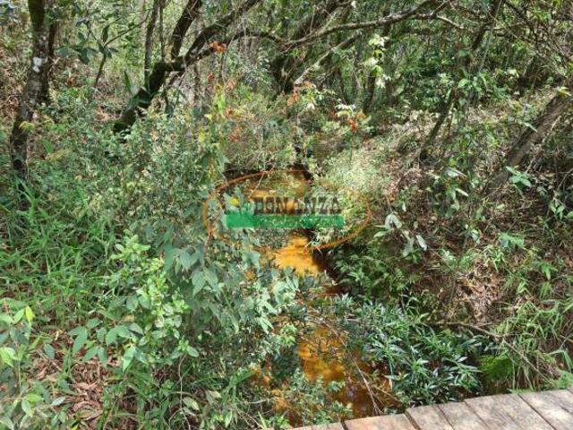 Sítio e chácara venda em Região Geográfica Imediata de Santa Bárbara - Ouro Preto, Itabirito