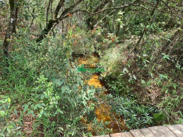 Sítio e chácara venda em Região Geográfica Imediata de Santa Bárbara - Ouro Preto, Itabirito