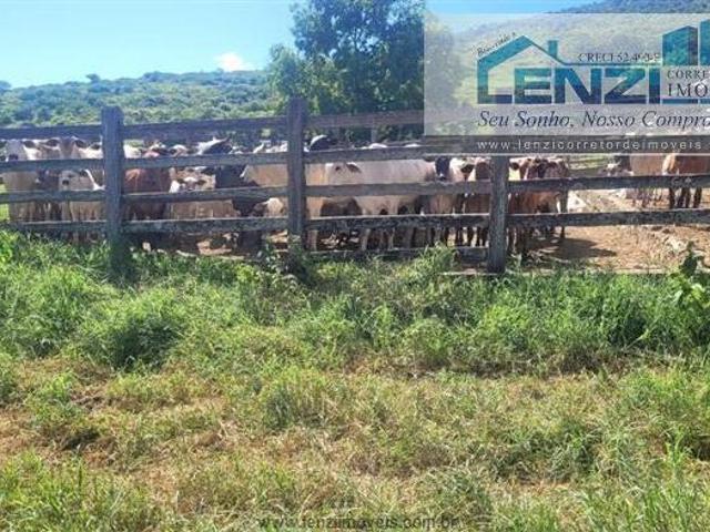 Sítio e chácara venda em Região Geográfica Imediata de Teófilo Otoni, Itaobim