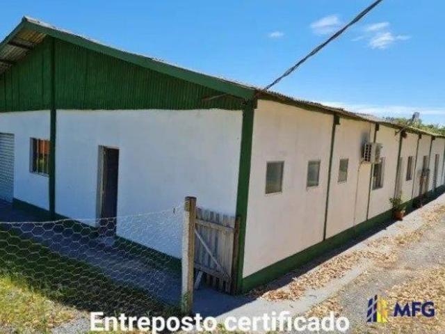 Sítio e chácara venda em Região Geográfica Imediata de Goiás - Itapuranga, Nova Crixás