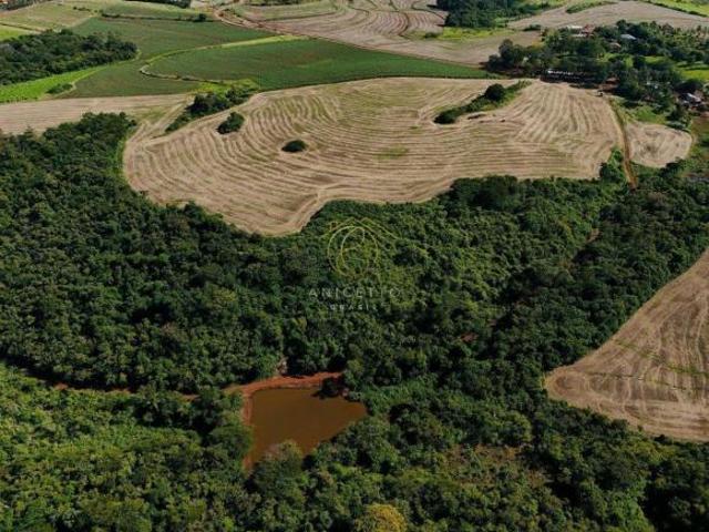 Sítio e chácara venda em Região Geográfica Imediata de Londrina, Jataizinho