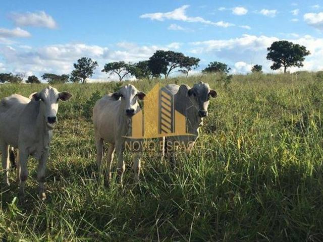 Sítio e chácara venda em Região Geográfica Imediata de Montes Claros, Joaquim Felício