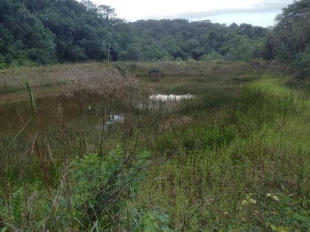 Sítio e chácara venda em Sete Barras
