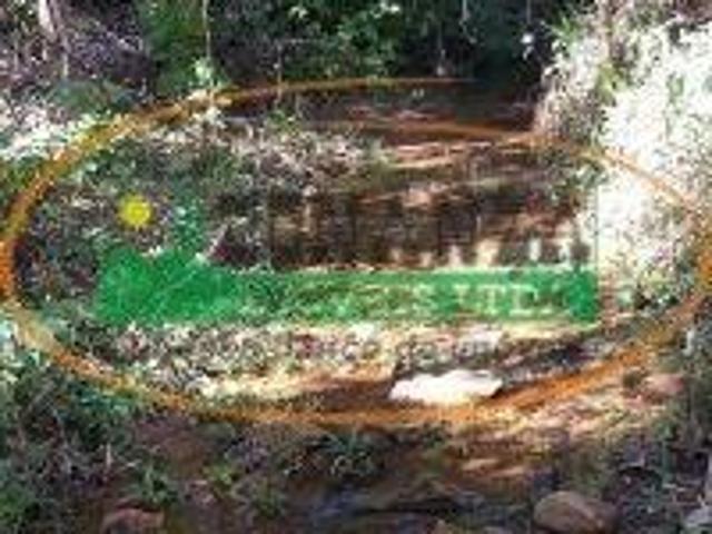 Sítio e chácara venda em Lamim, Região Geográfica Intermediária de Juiz de Fora