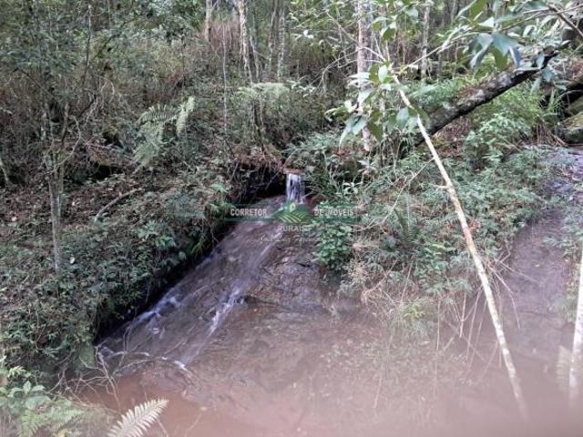 Sítio e chácara venda em Região Geográfica Imediata de Juiz de Fora, Liberdade