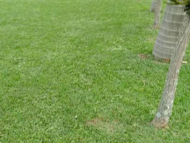 Sítio e chácara venda em Região Geográfica Imediata de Novo Hamburgo - São Leopoldo, Região Metropolitana de Porto Alegre