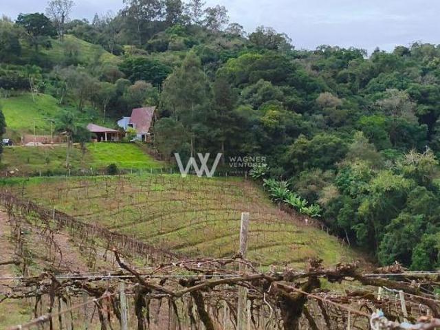 Sítio e chácara venda em Região Geográfica Imediata de Caxias do Sul, Caxias do Sul