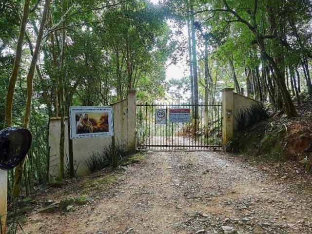 Sítio e chácara venda em Mandirituba, Região Geográfica Intermediária de Curitiba