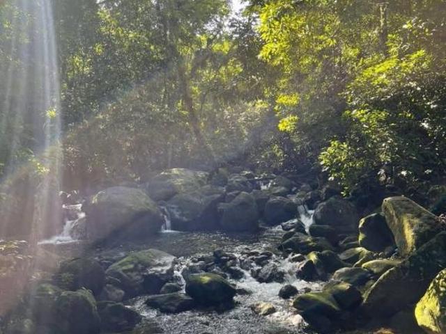 Sítio e chácara venda em Região Imediata de Caraguatatuba-Ubatuba-São Sebastião, Região Metropolitana do Vale do Paraíba e Litoral Norte