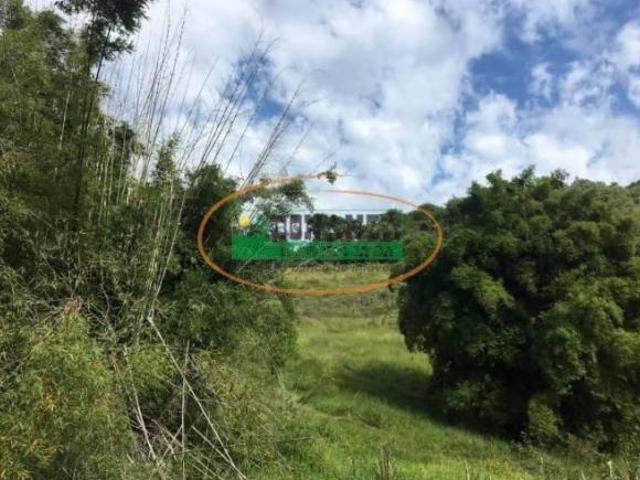 Sítio e chácara venda em Santa Rita de Cássia, Mariana