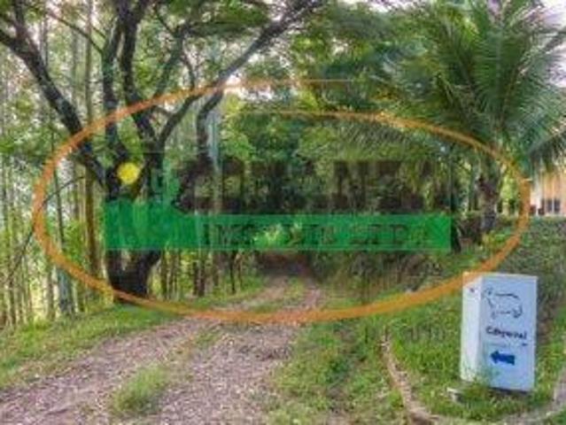 Sítio e chácara venda em Mariana, Região Geográfica Intermediária de Belo Horizonte