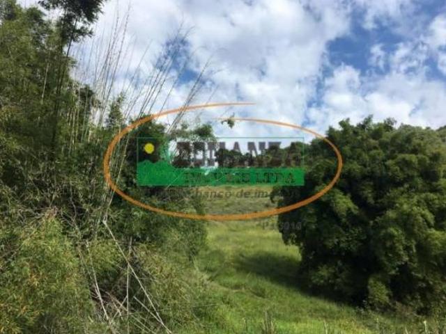 Sítio e chácara venda em Região Geográfica Imediata de Santa Bárbara - Ouro Preto, Mariana