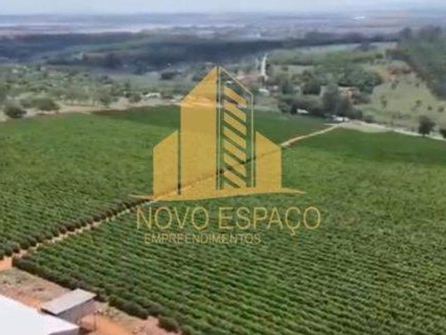 Sítio e chácara venda em Região Geográfica Imediata de Guaxupé, Monte Belo