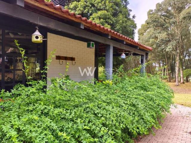 Sítio e chácara venda em Região Geográfica Imediata de Caxias do Sul, Caxias do Sul